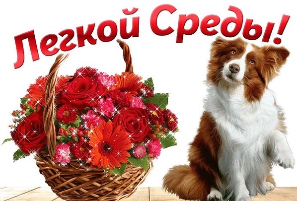 Открытки